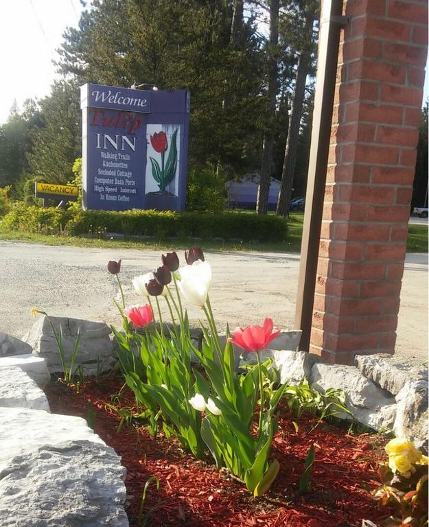 Tulip Inn Huntsville Esterno foto
