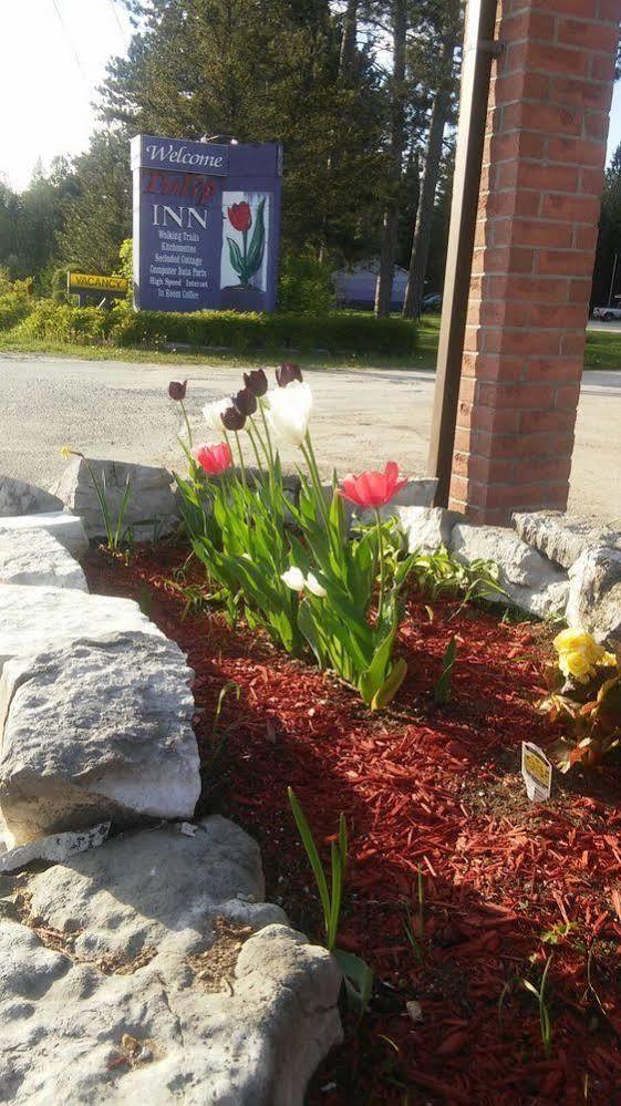 Tulip Inn Huntsville Esterno foto